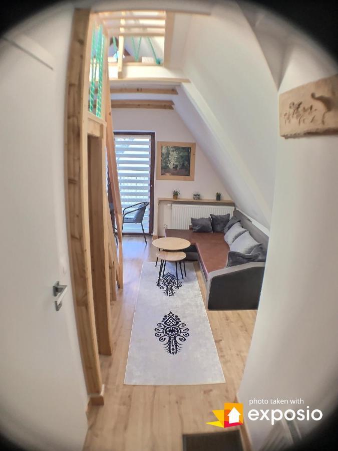 Ski Tour Apartments Zakopane Esterno foto